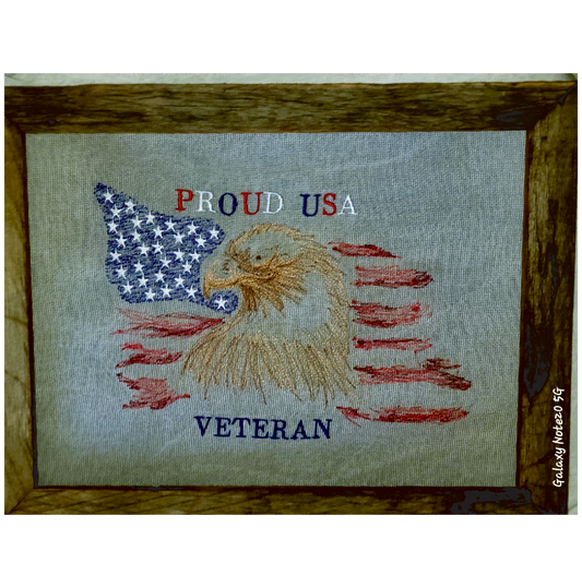 Framed Wall Art - Eagle Flag on screen